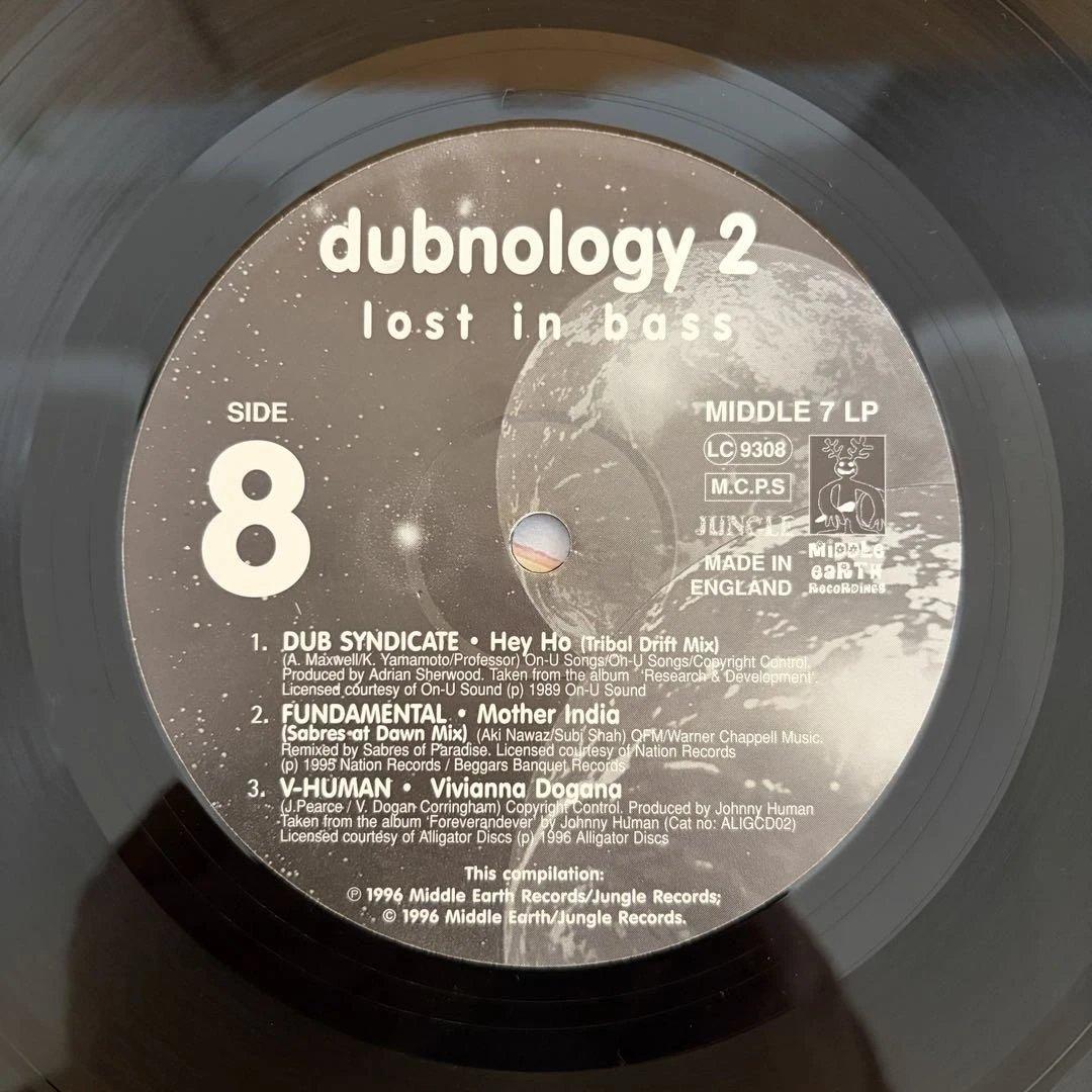 洋楽 dubnology 2: lost in bass 4LP
