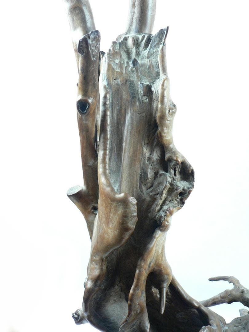 天然老木　自然随形根彫　根彫置物・送料込！