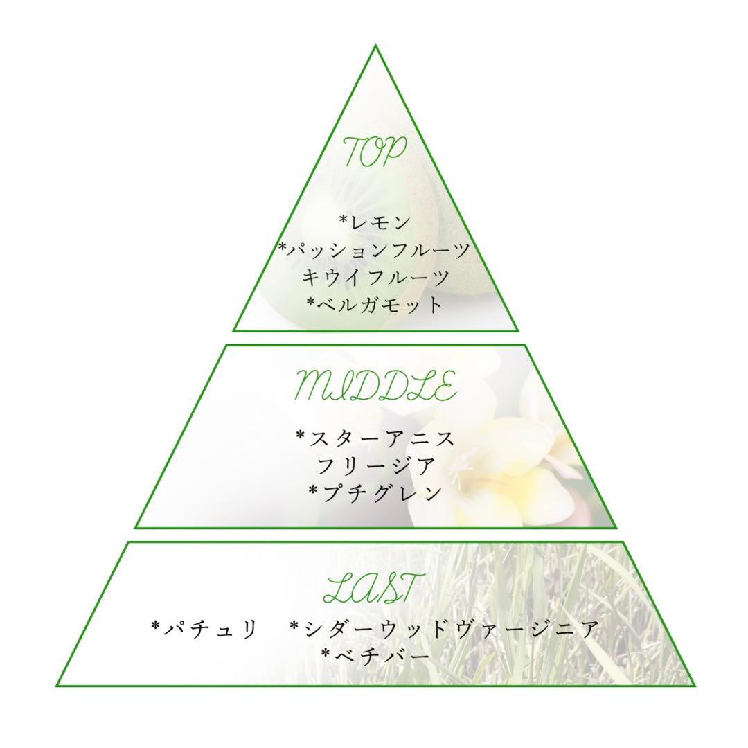 ジョジョの奇妙な冒険 ジョセフ・ジョースター 香水 新品 NOZ COLLABO