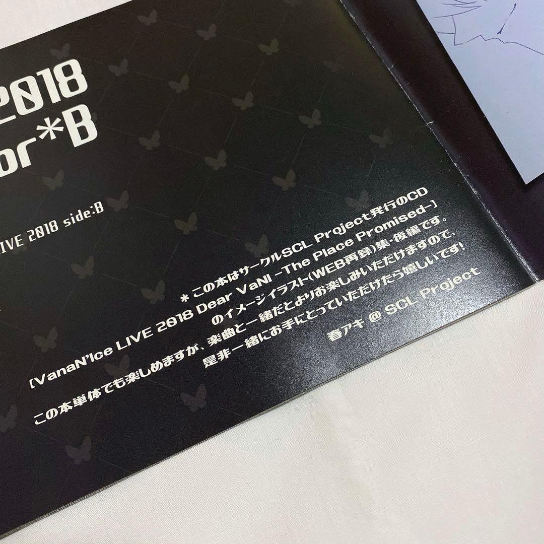 ボーカロイド VanaN'Ice バナナイス　LiveB イラスト集