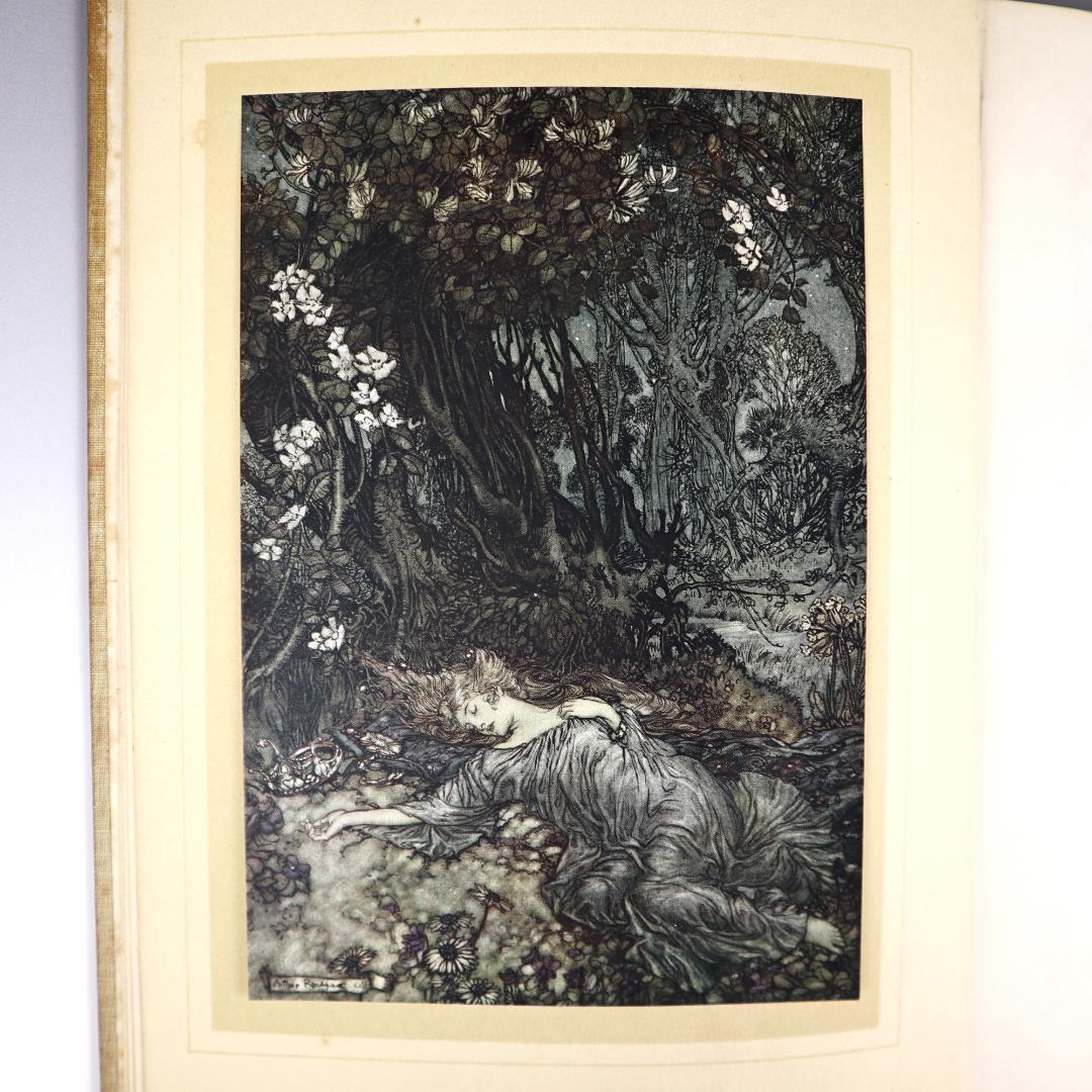 1908年 初版 アーサー・ラッカム 真夏の夜の夢 挿絵カラー40点 抜け無し