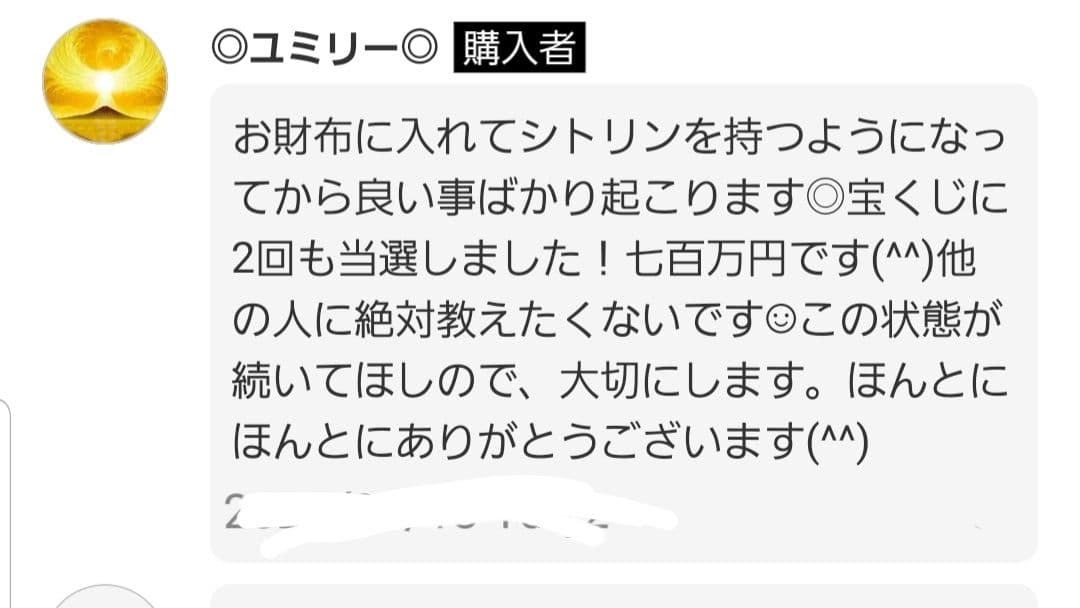 金運　恋愛　健康　仕事　幸運に導く　開運エネルギー　大金運福シトリン朱の御守り✧