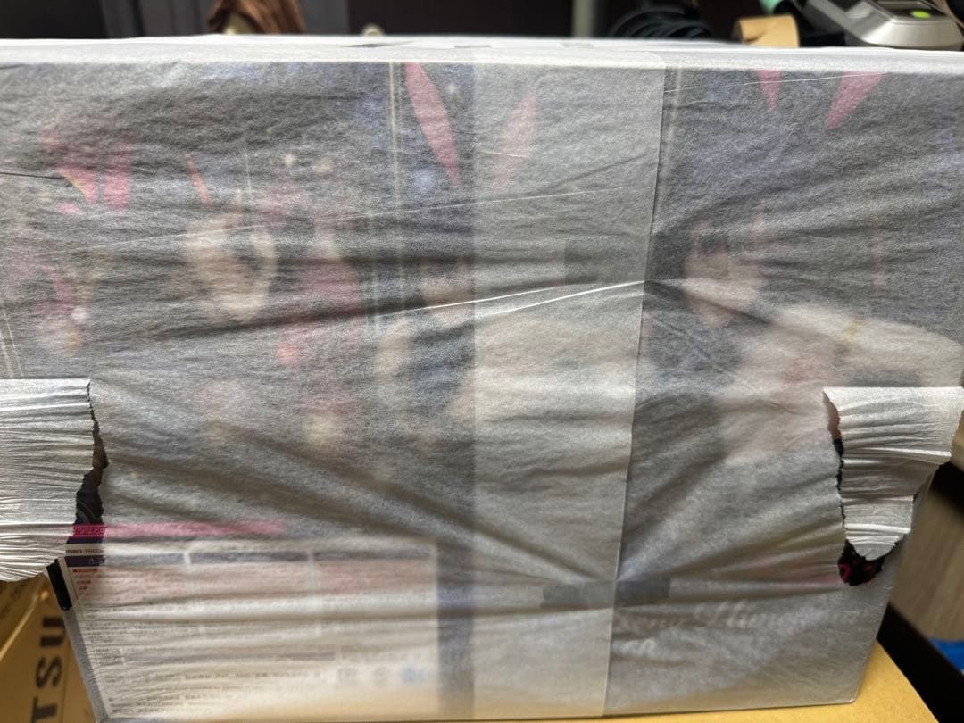 B-STYLE ハイスクールD×D HERO 姫島朱乃 バニーVer. 2nd