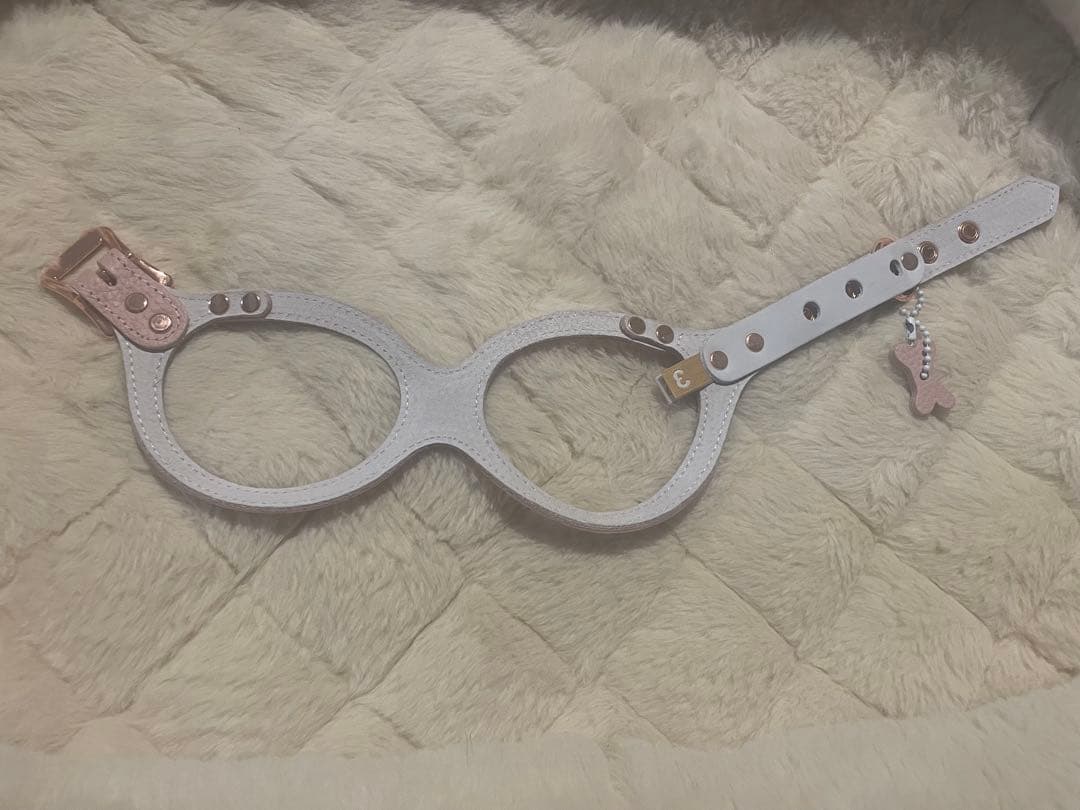 buddybelts 犬用ハーネス3号 2026限定色BRUSH