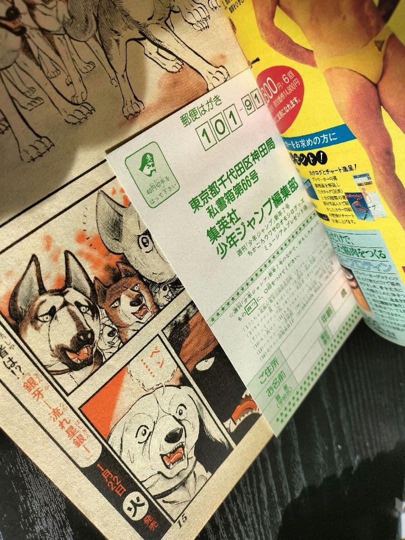 【週刊少年ジャンプ1985年7号】ドラゴンボール　表紙2回目　鳥山明先生