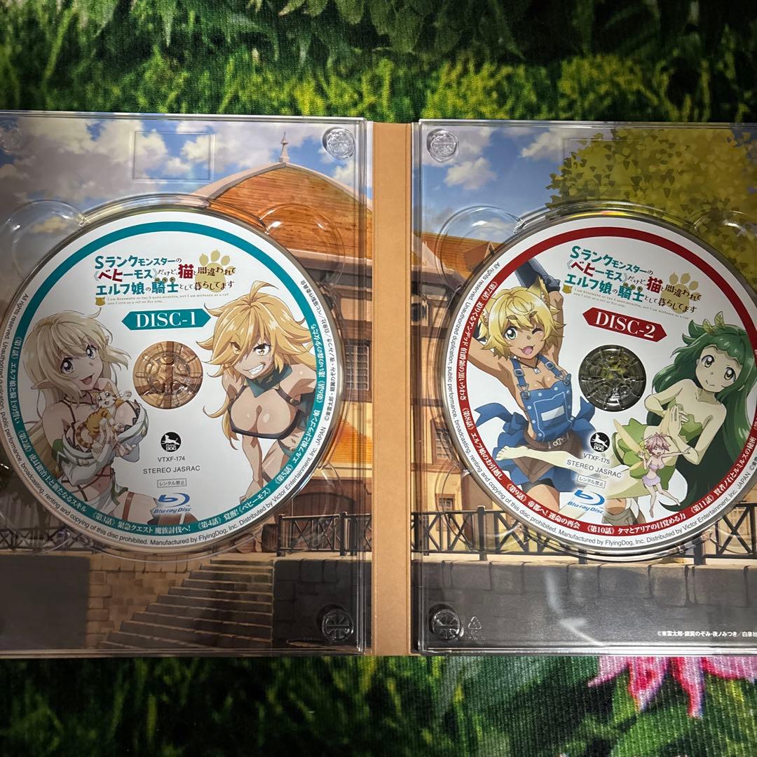 Sランクモンスターの《ベヒーモス》だけど,猫と間違われてエルフ娘の騎士(ペット…