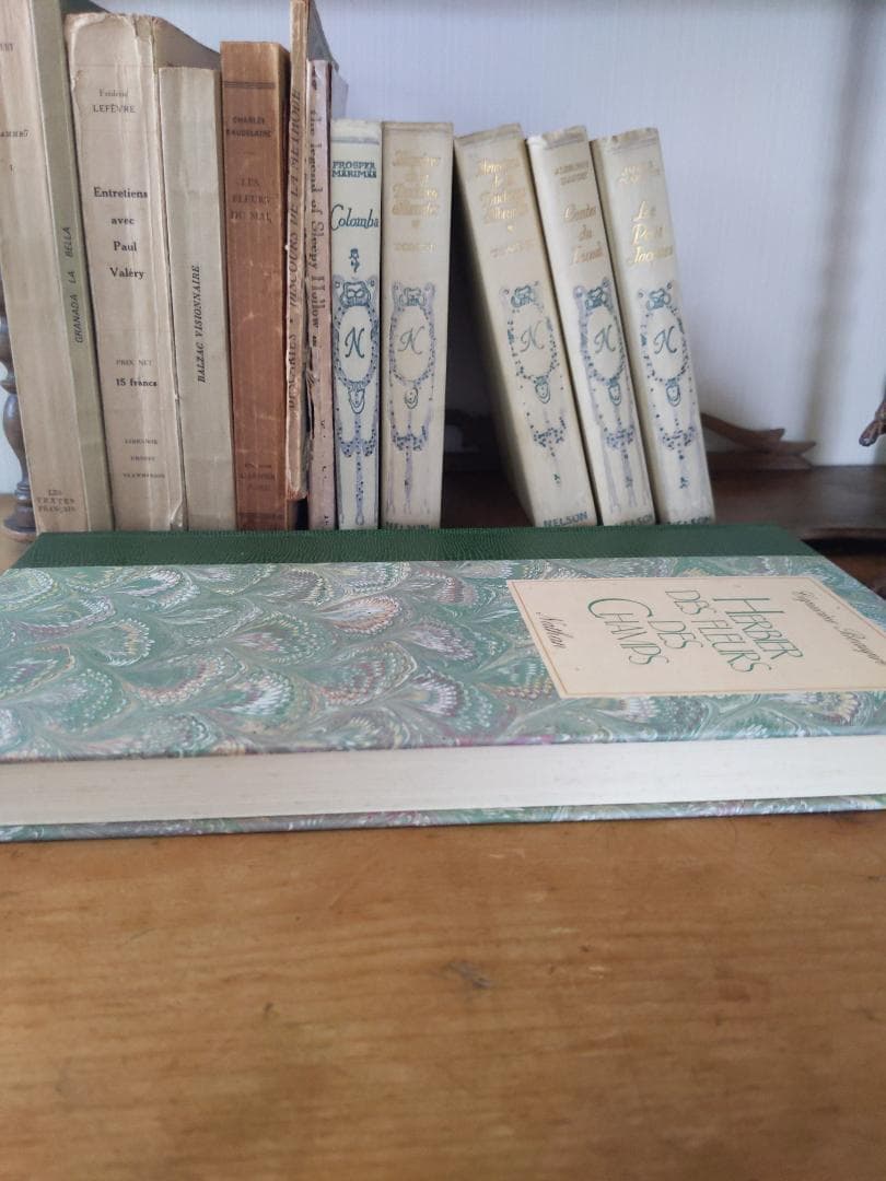 洋書、フランス、ナタン社植物図鑑