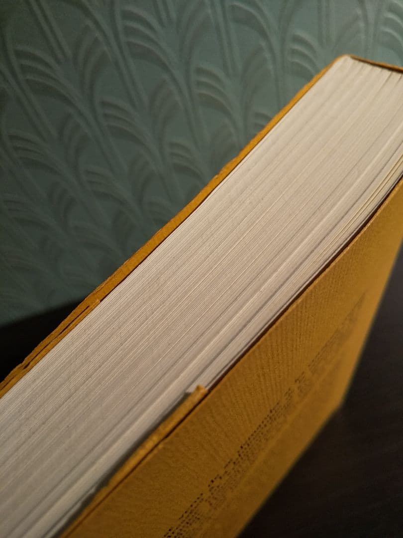 〈洋書〉現象学におけるフッサール解釈の研究 ／ルドルフ・バーネット 著