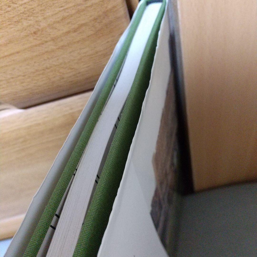 Walking the High Line ハードカバー jf1