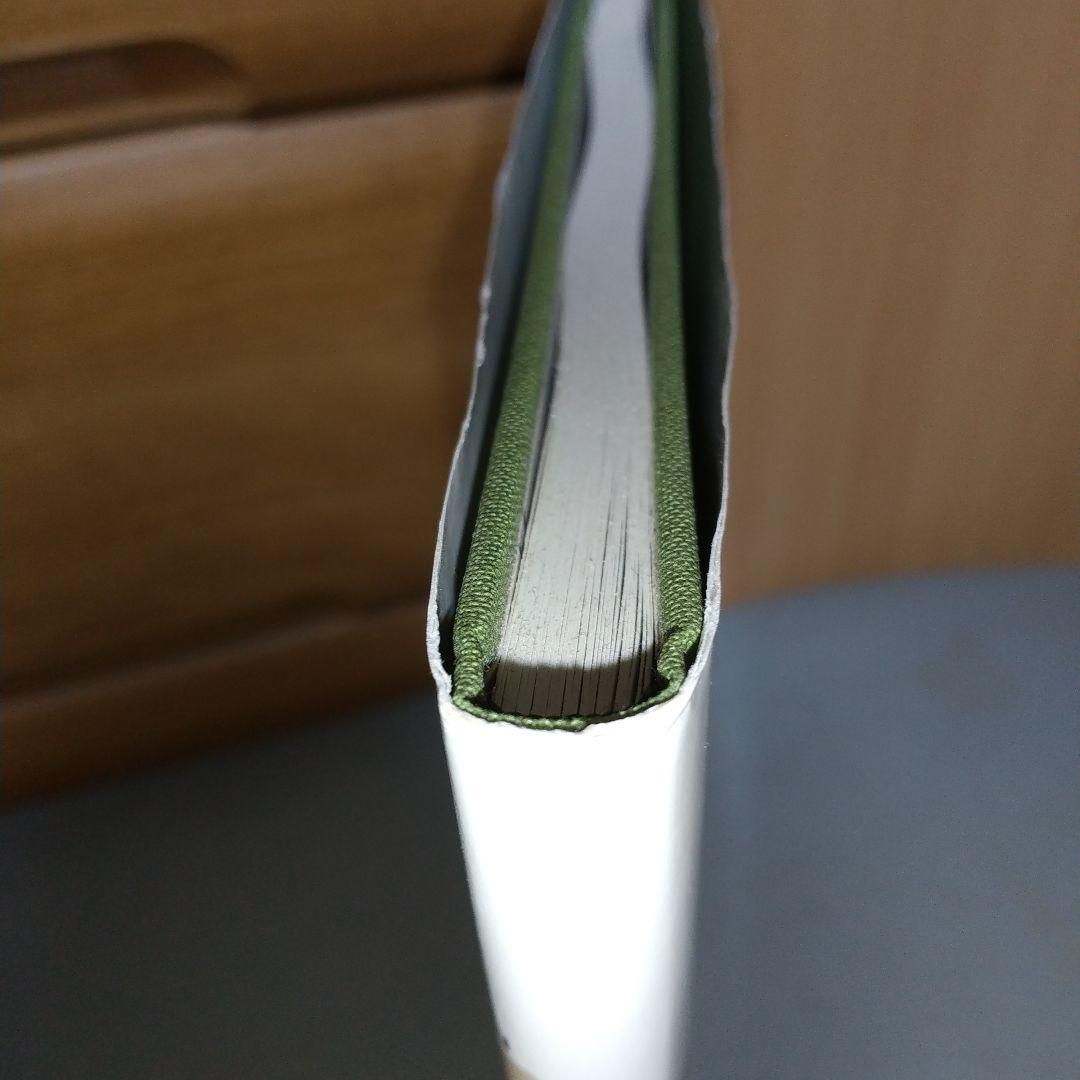 Walking the High Line ハードカバー jf1