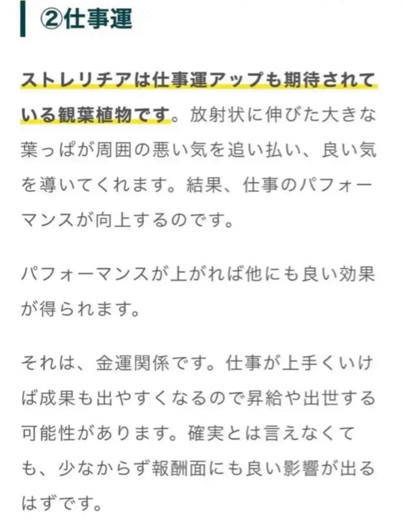 792【激レア・廃盤・貴重・希少】縁起物♪極楽鳥花 ストレリチア／スワロフスキー
