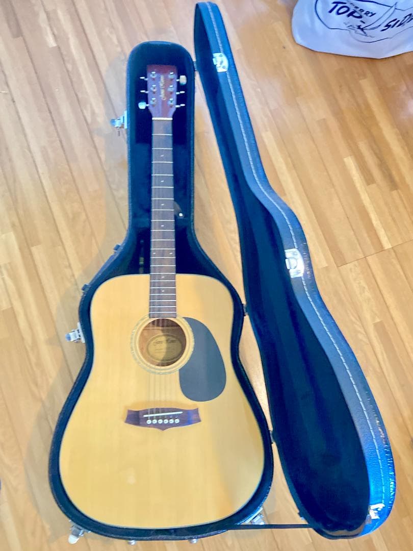 James Havens アコースティックギター