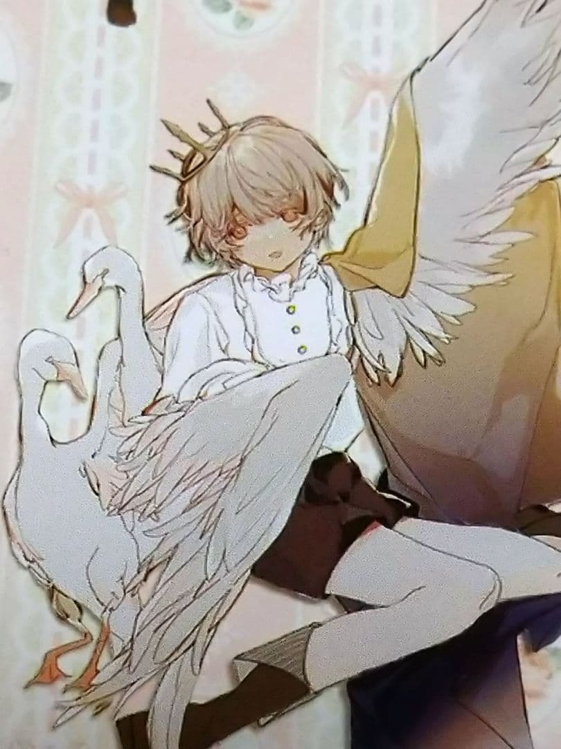 ✩SALE✩J155＃野天鹅(PET)Notte切り売り海外人物マステ男の子女子