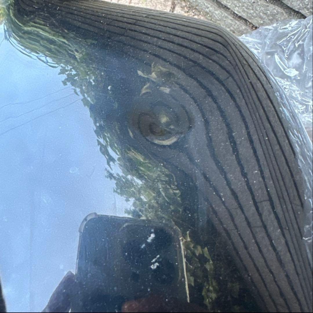 YAMAHA バイク用タンク 黒