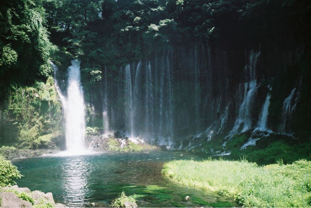 Summaron 35mm F3.5 Mマウント 【作例あり】