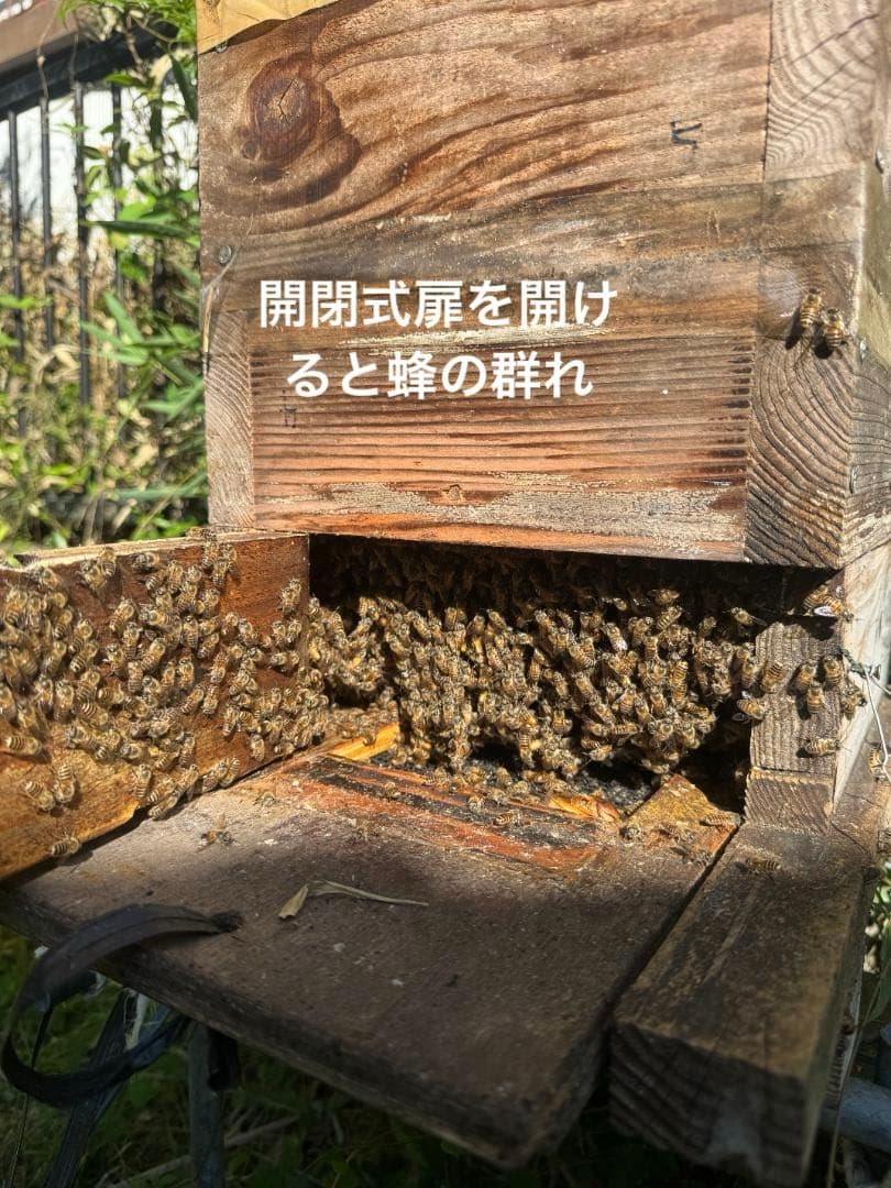 日本蜜蜂 重箱式巣箱4段 スライド底板 付巣門台座