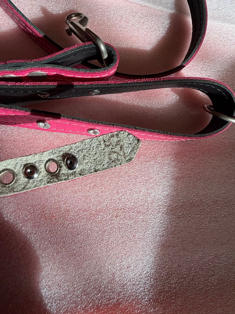 バディベルト ピンク ハーネス・胴輪セット