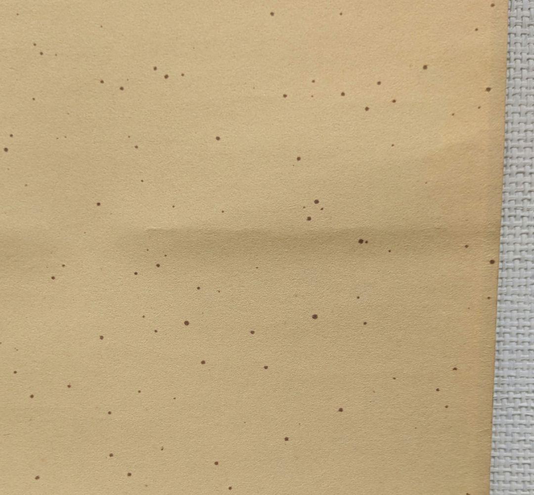 茶道具　掛け軸　柳緑花紅　吉口桂堂和尚　大徳寺瑞峯院　春にピッタリのお軸です