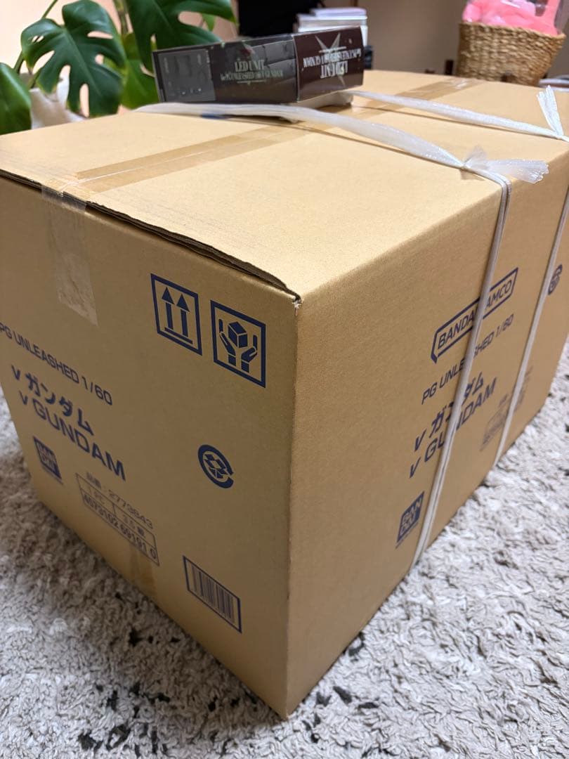 pg unleashed 1/60 νガンダム +ledユニットセット