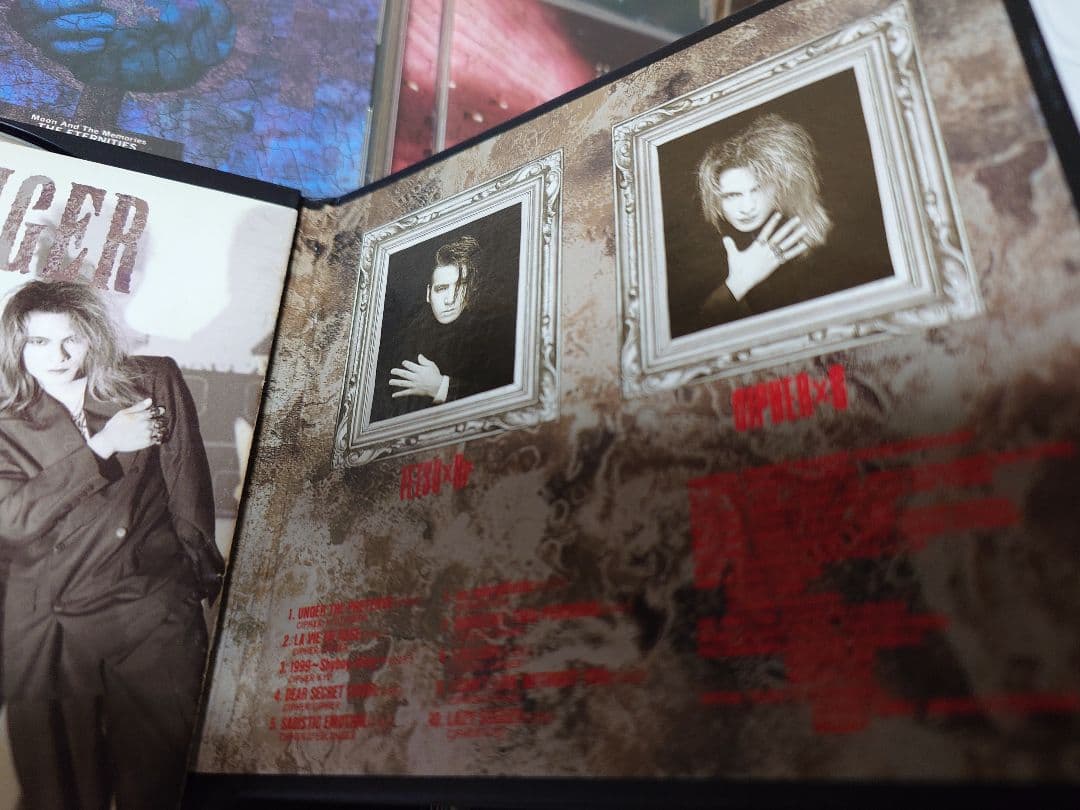 セット　ラヴィアン　roneve 　デランジェ　DVD　D’ERLANGER