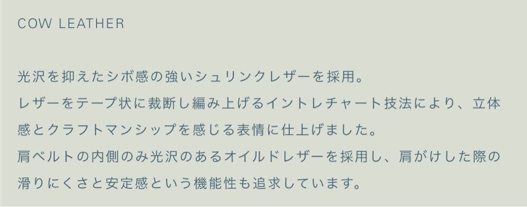 LIDNM Llife COW LEATHER MESH BAG バッグ