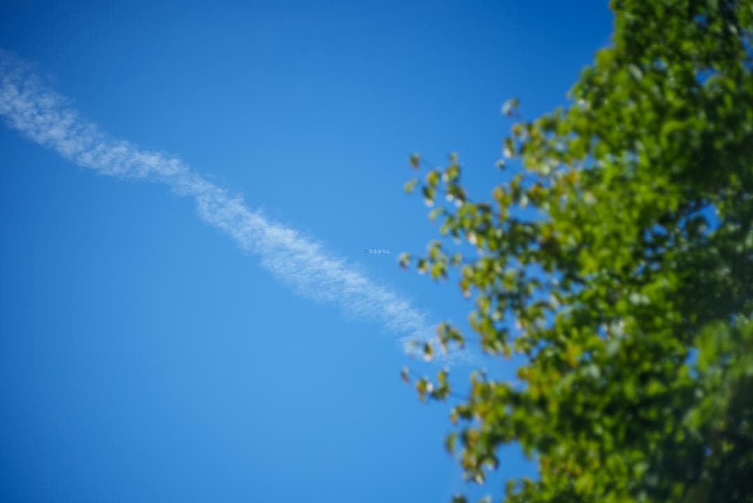 taureich様Summicron 50mm F2 1st 前期 固定鏡胴