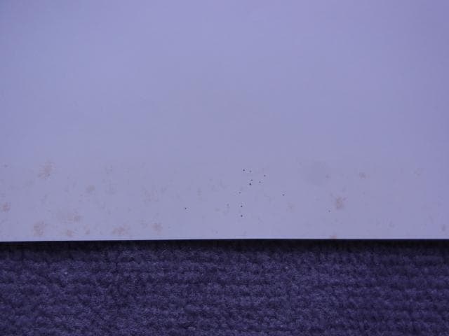 未使用品　非売品　ポスター　キャプテン翼 大者のフィールド　トレーディングカード