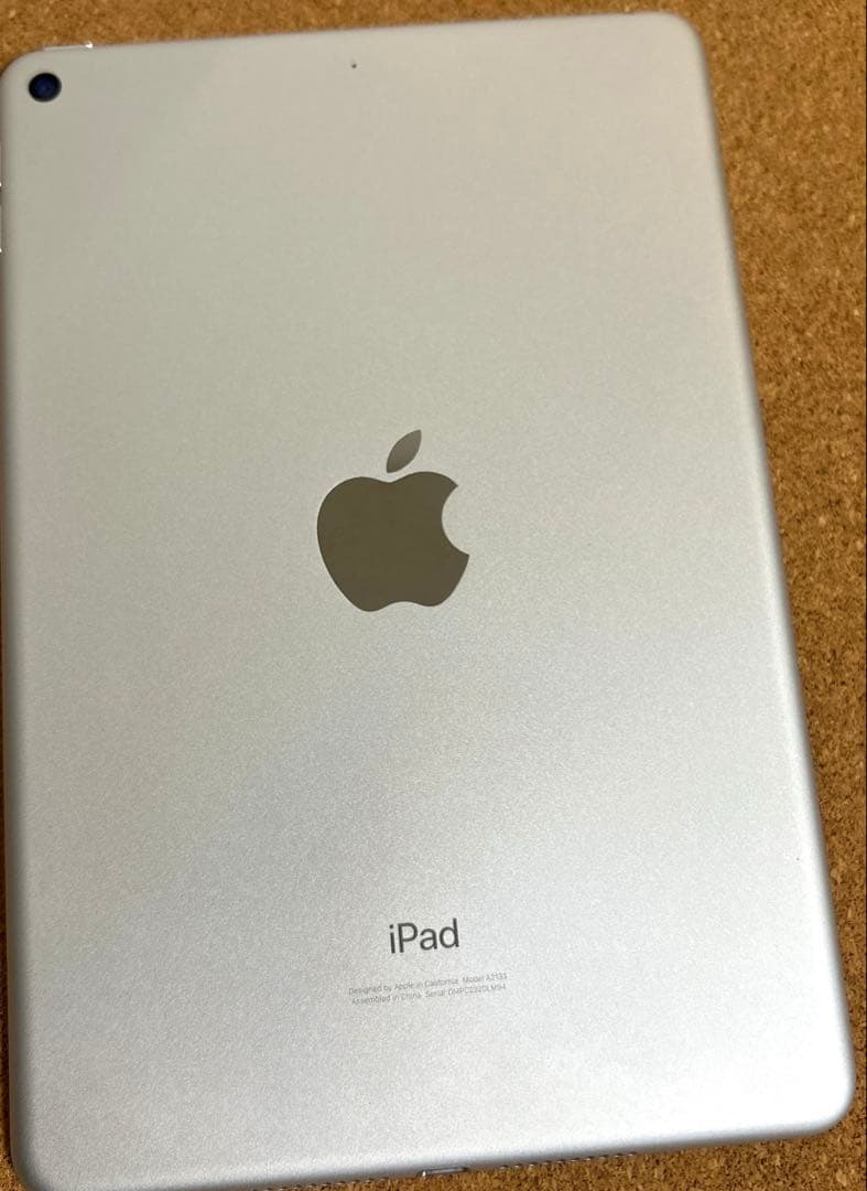 iPad mini5 第5世代 64GB (10) 91%