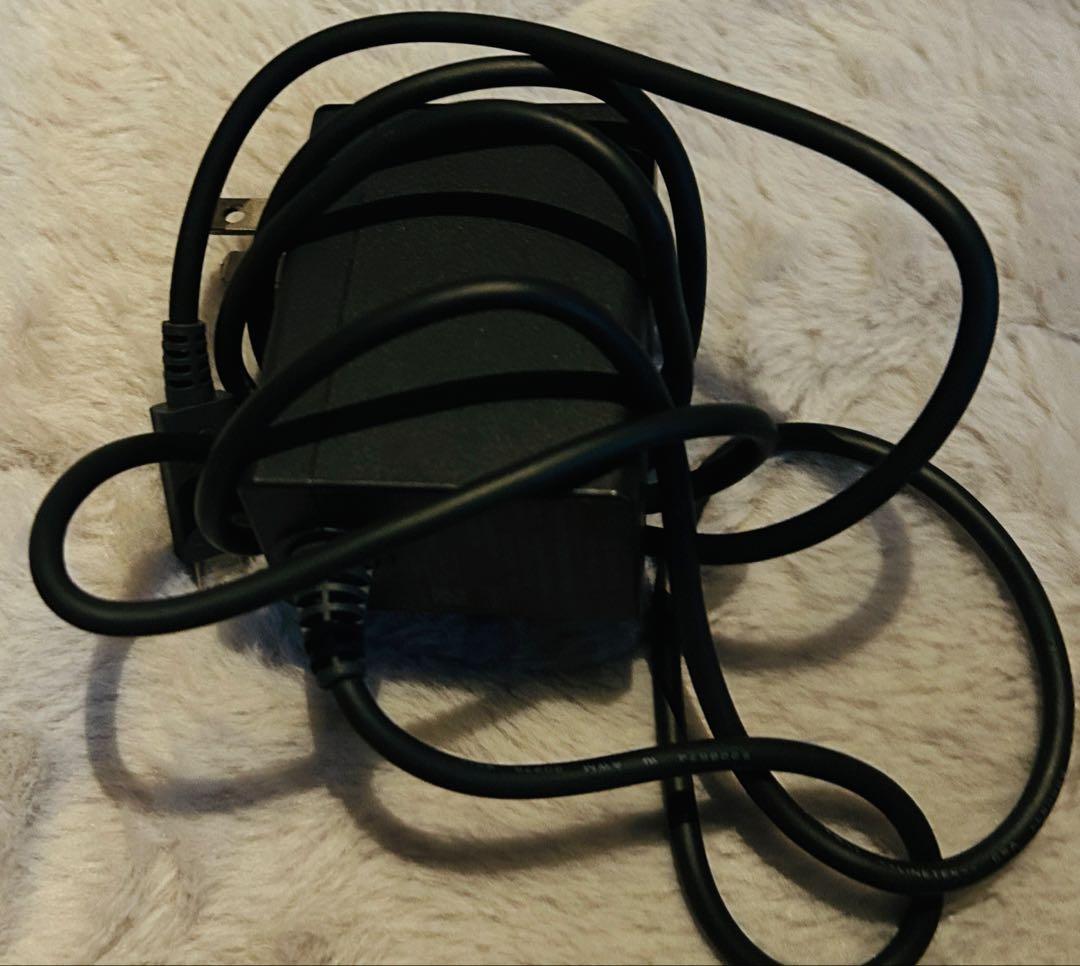 Nintendo Switch Lite(グレイ)