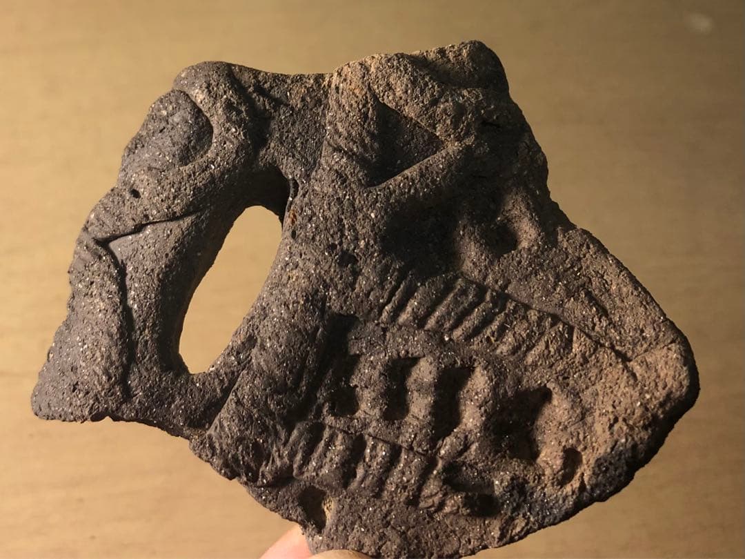 「縄文土器の欠片 No.531」です。