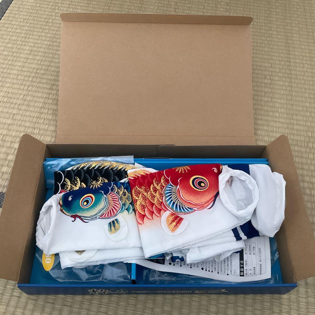 粋々　モビール鯉物語　天華