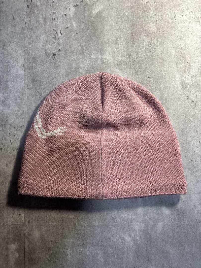 ARC'TERYX BIRD ヘッドトーク　ビーニー帽子　ピンク