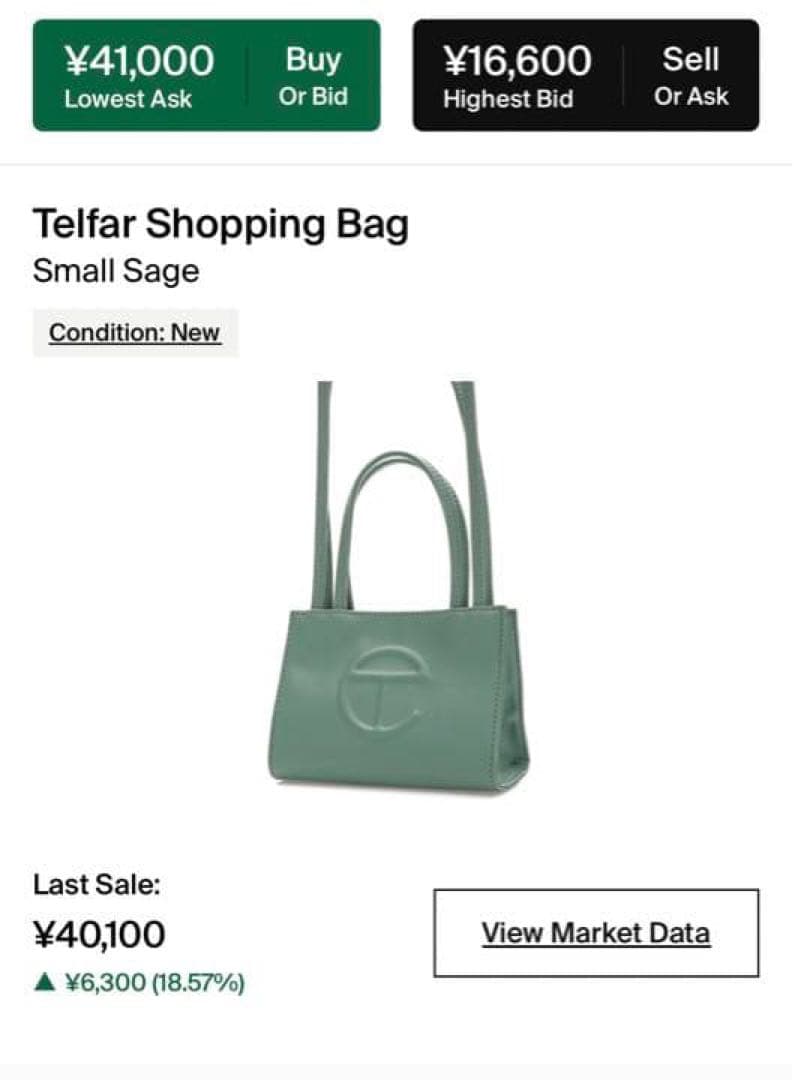 超希少　テルファー　スモールバッグ　SAGE(セージ)