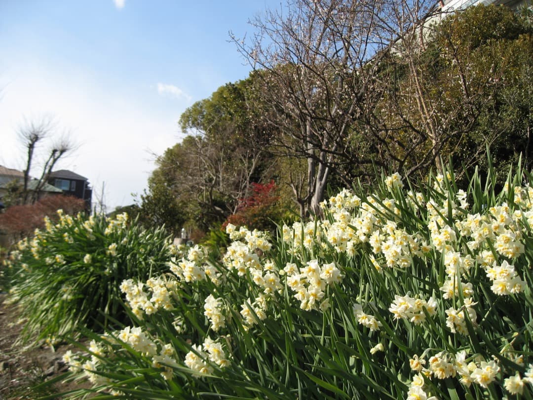 実写美⭕️新品同様【動作確認済】Canon IXY DIGITAL 800IS