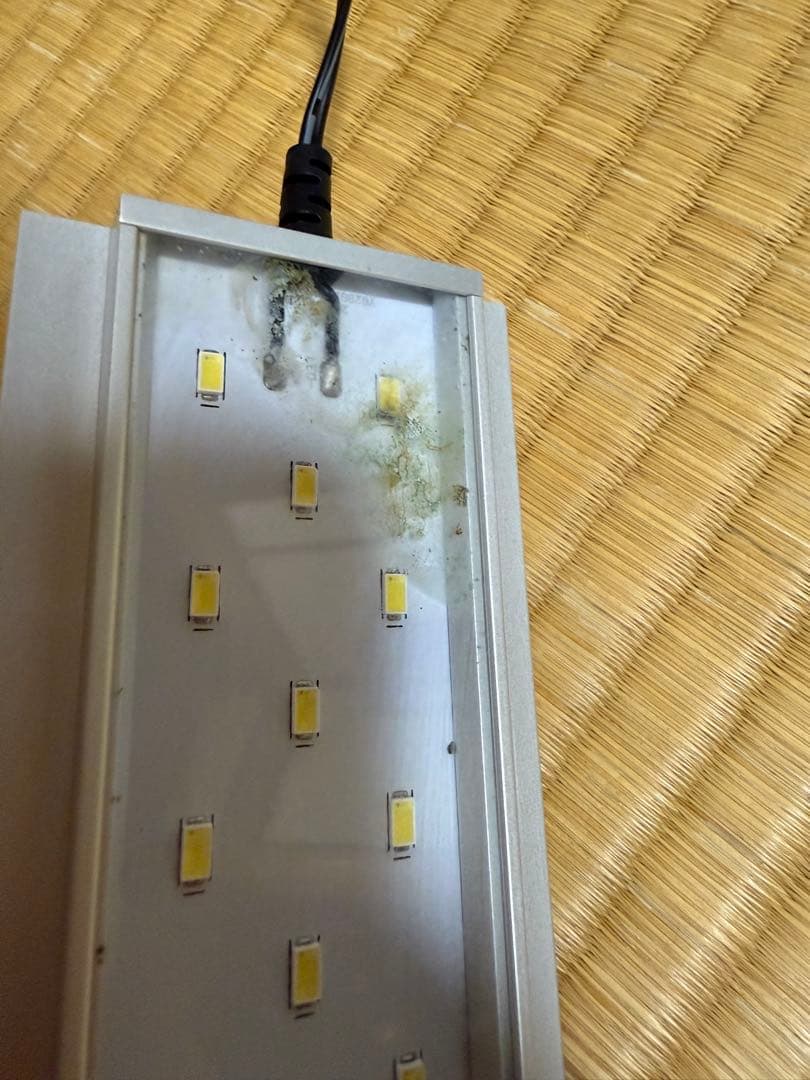 ADAキューブガーデン