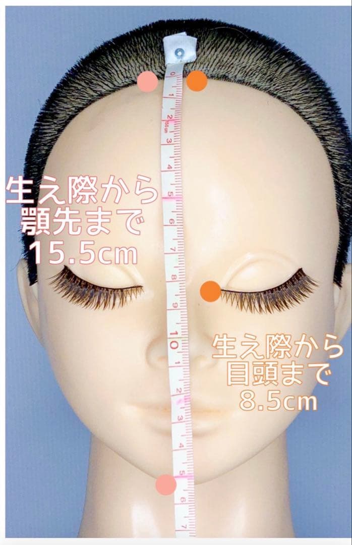 狸猫さま