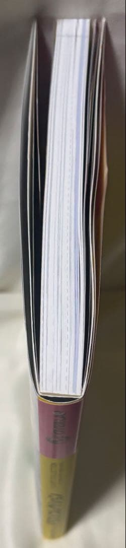 特典カード未開封品 ポケモンカードゲーム イラストコレクション