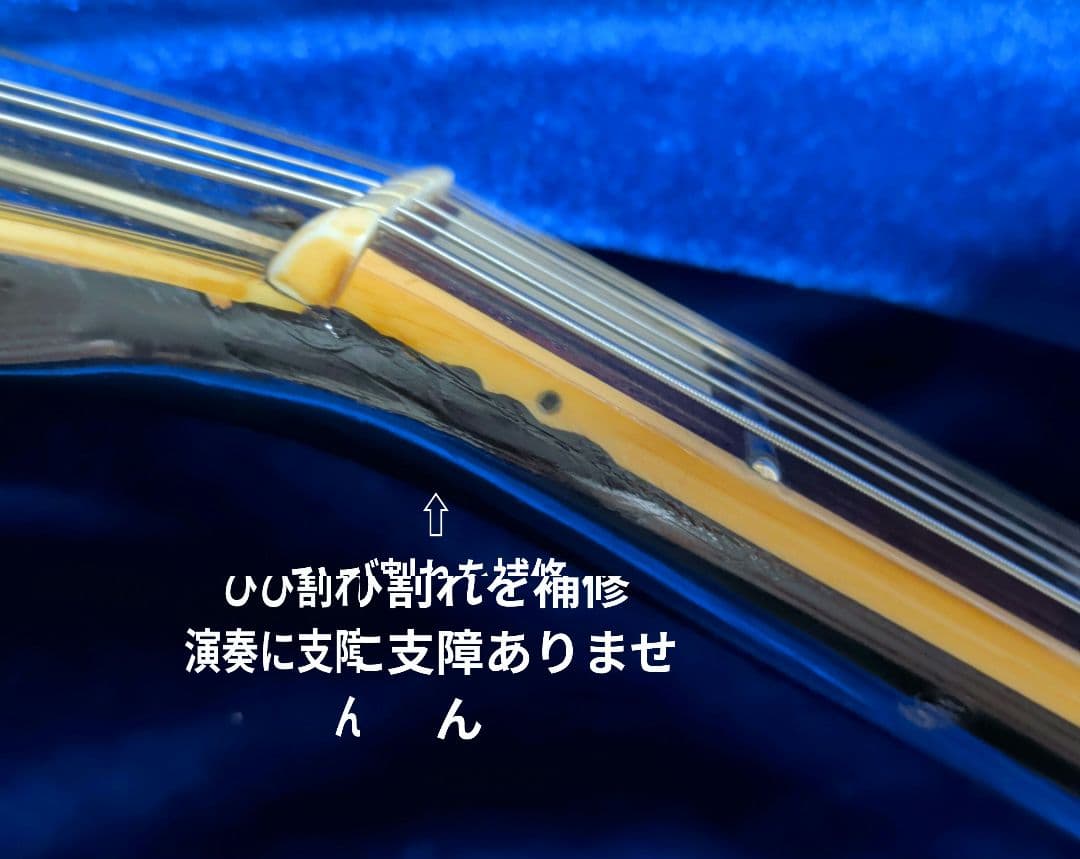 【Scorpion】レスポールタイプ