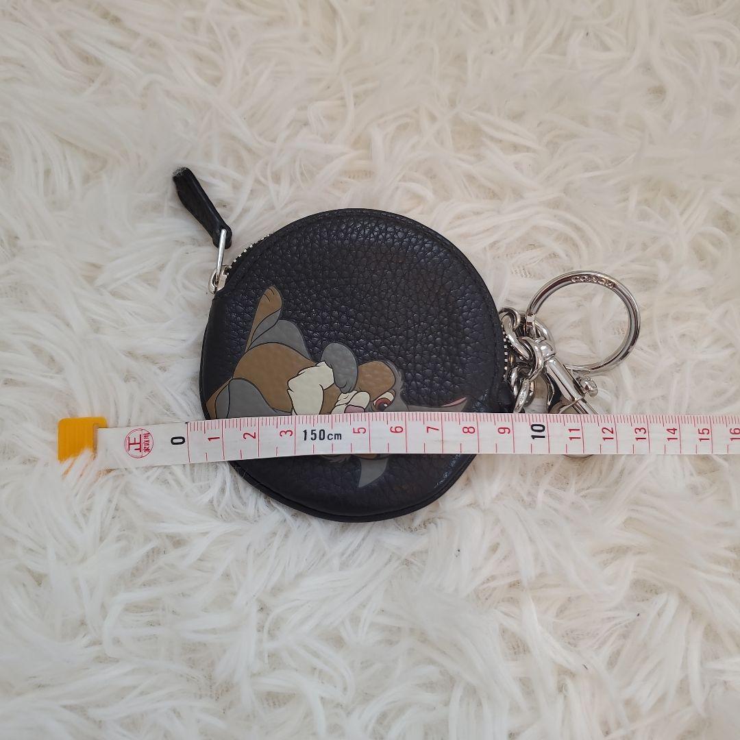 ⭐♡Anera♡様取り置き中⭐COACH×ディズニー　とんすけ　　ケース