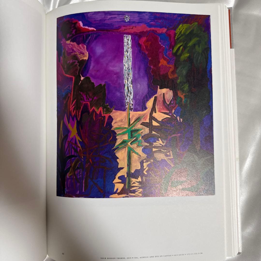 Shara Hughes 作品集