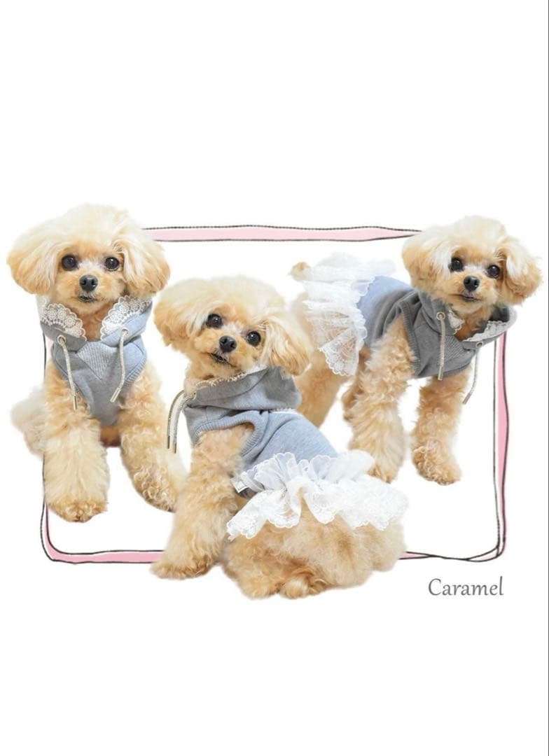 サーカスClassy Laced Hoodie XS レース ワンピース フード