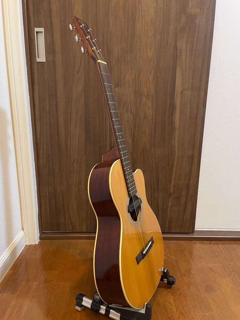 ギター Recording King RP1-16c / Adeline pickup