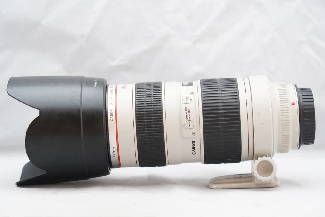 キャノン EF 70-200㎜ F=1:2.8 L USM 超望遠・ズームレンズ