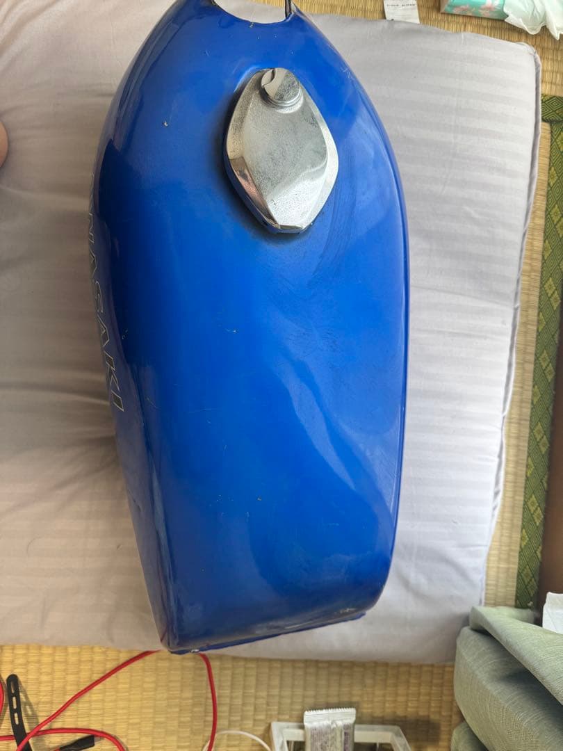 シーザーくん　…