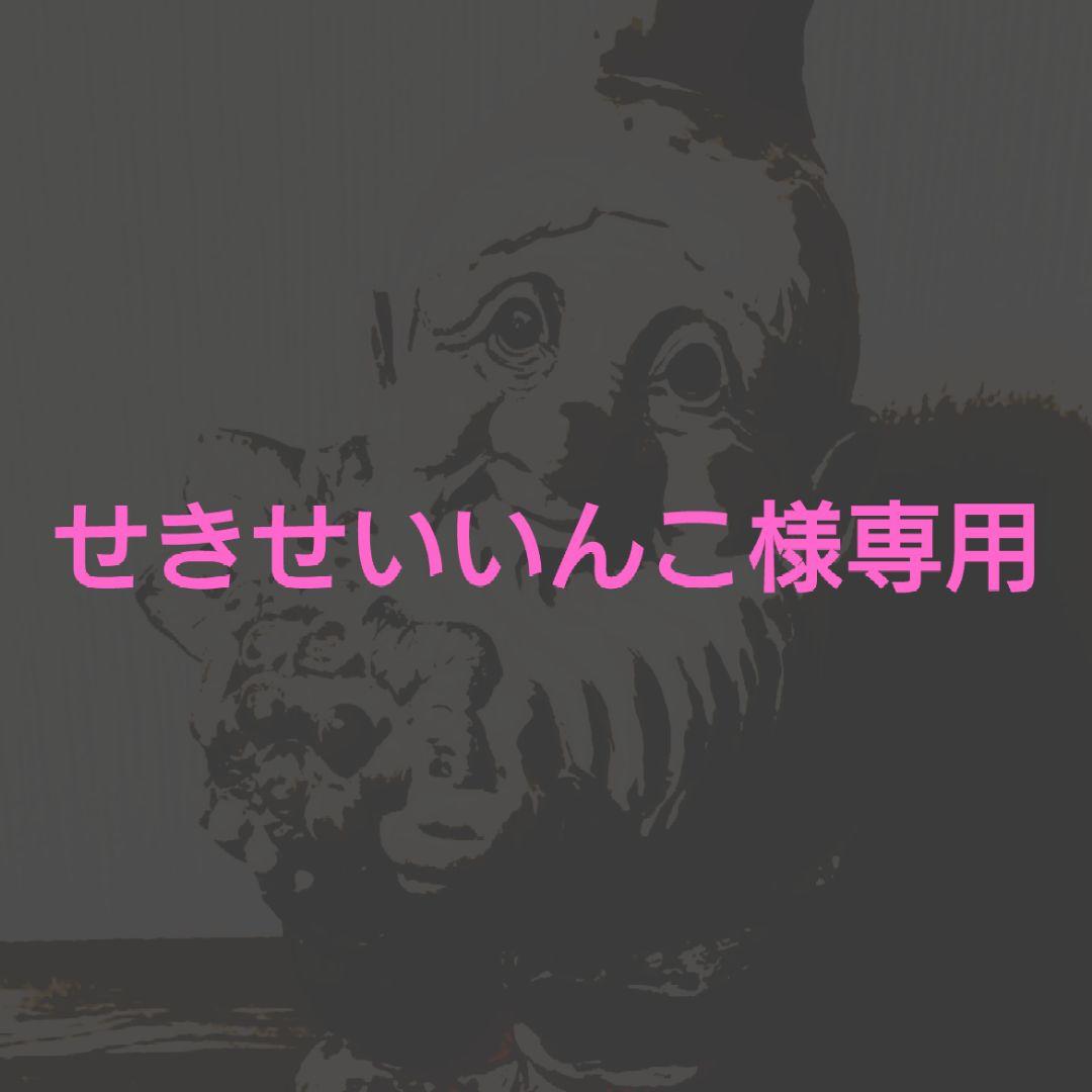 せきせいいんこ
