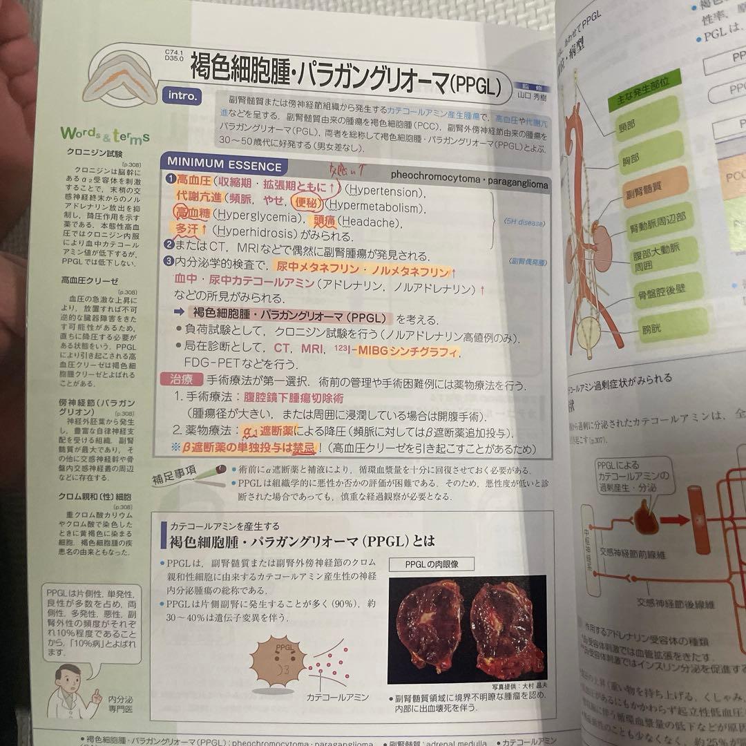 病気がみえる　見える vol.1〜14 セット売り