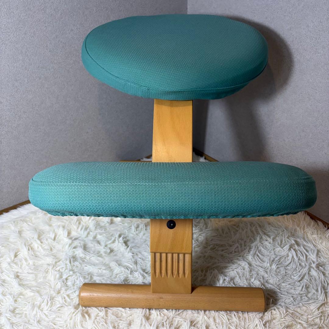 【極美品】リボ Rybo バランスイージー バランスラボ　balans カバー付