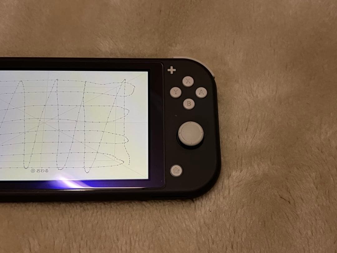 【動作確認済】Nintendo Switch Lite 本体 ブラック