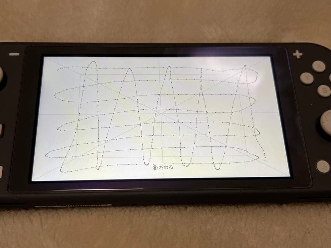 【動作確認済】Nintendo Switch Lite 本体 ブラック