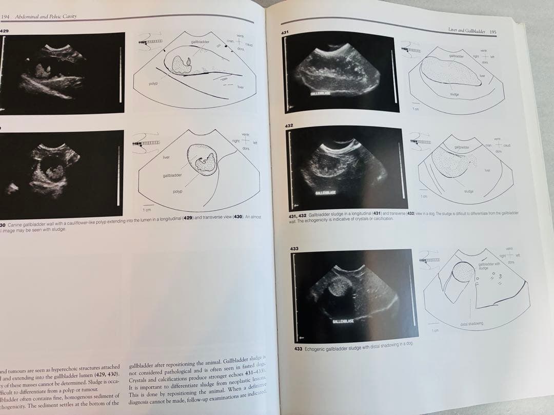 健康・医学 An Atlas and Textbook of Diagnostic